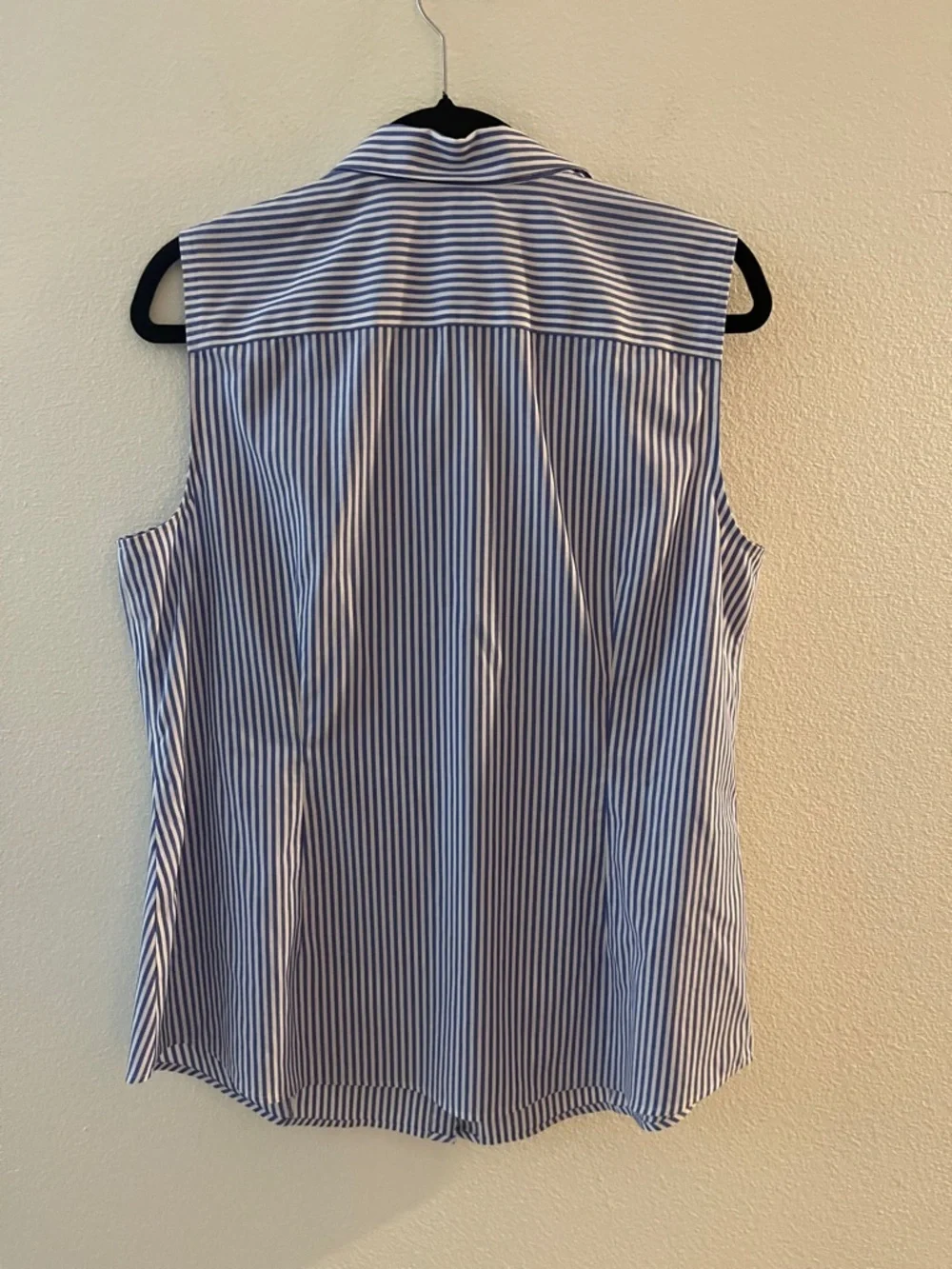 Talbots Blue and White Striped Sleeveless Button-Down Shirt - Picture 3 of 4